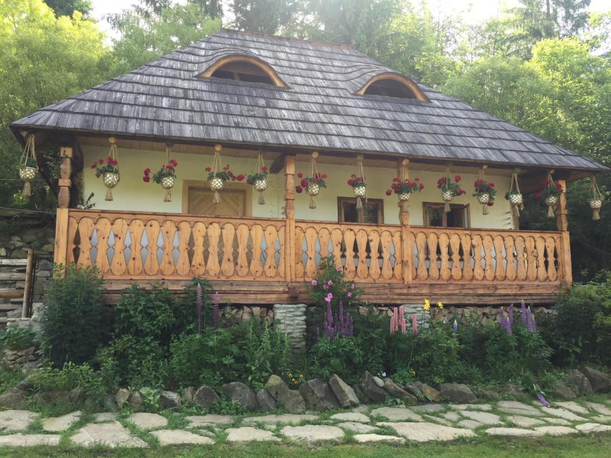 Pensiunea Agroturistica Casa Colinita Vatra Moldovitei Bagian luar foto