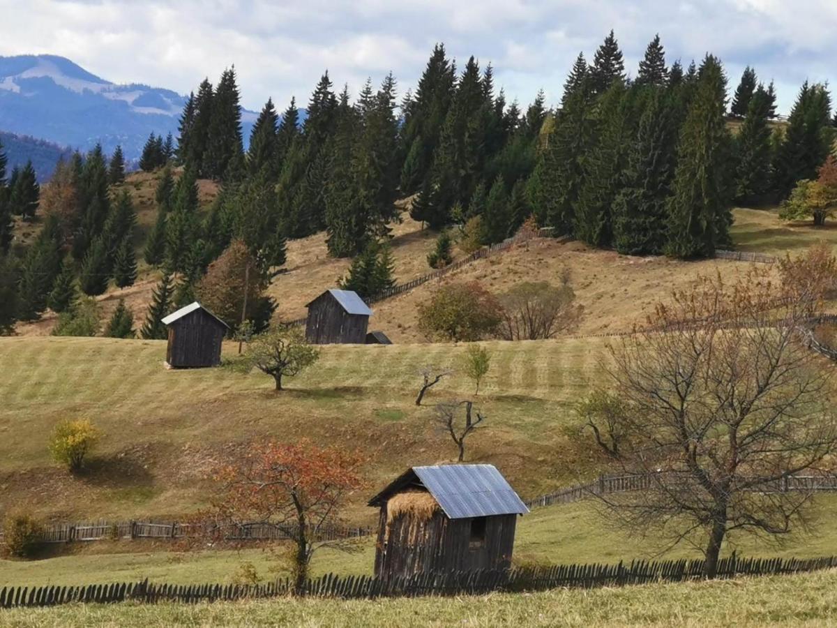 Pensiunea Agroturistica Casa Colinita Vatra Moldovitei Bagian luar foto