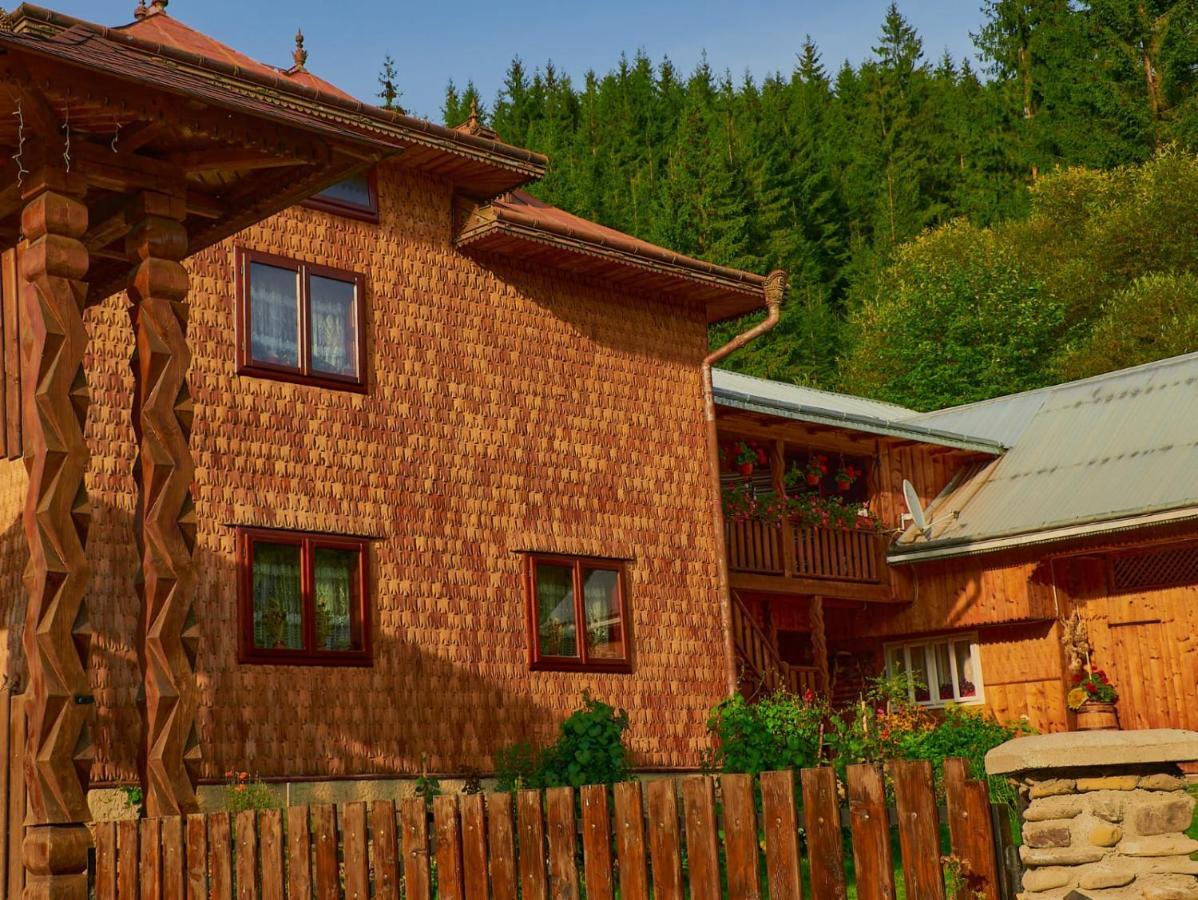 Pensiunea Agroturistica Casa Colinita Vatra Moldovitei Bagian luar foto