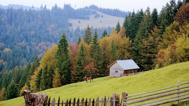 Pensiunea Agroturistica Casa Colinita Vatra Moldovitei Bagian luar foto