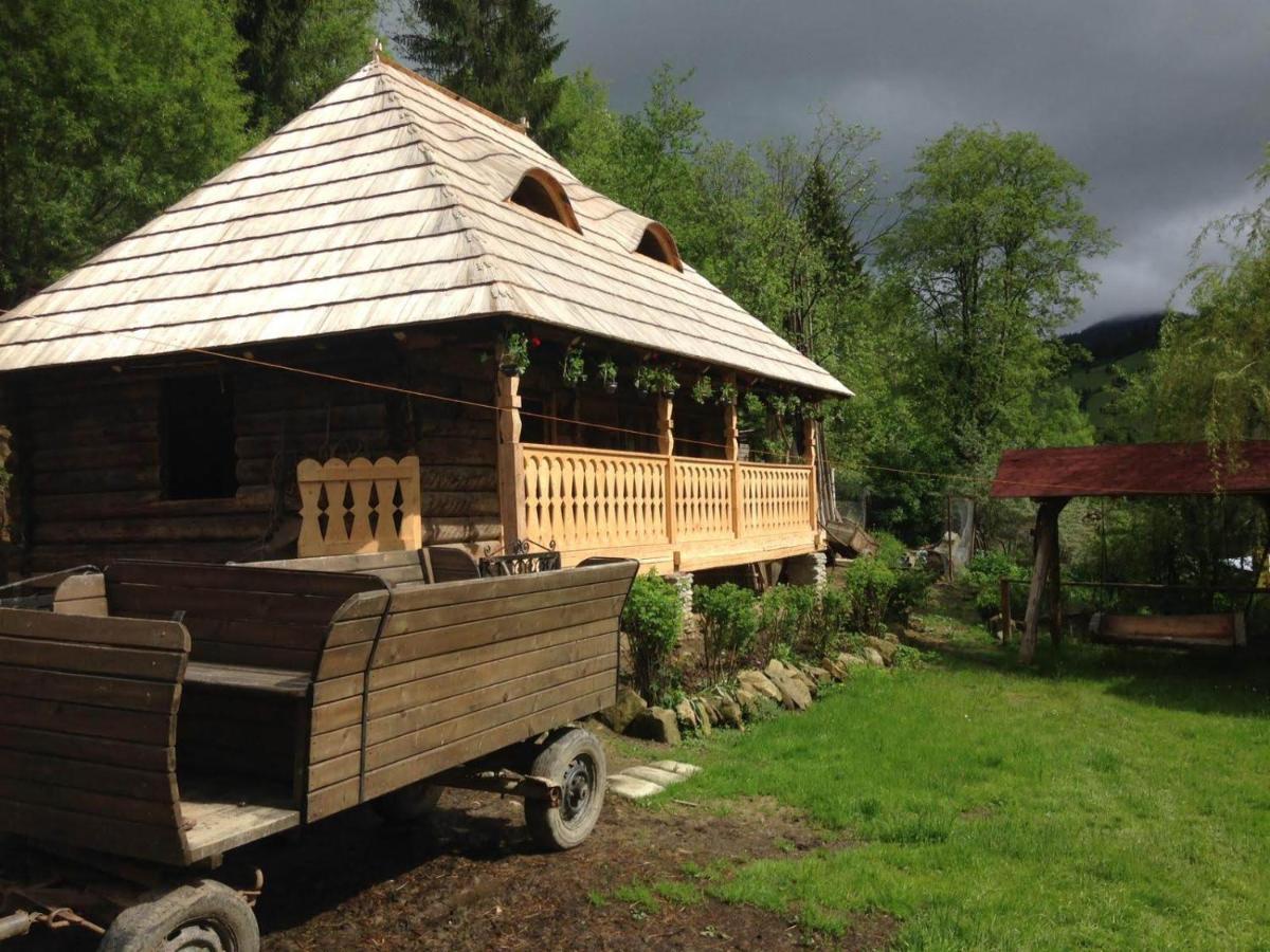 Pensiunea Agroturistica Casa Colinita Vatra Moldovitei Bagian luar foto