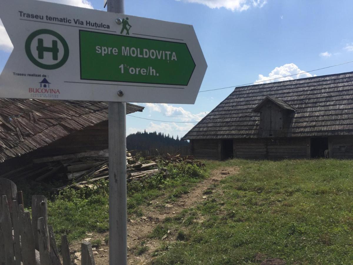 Pensiunea Agroturistica Casa Colinita Vatra Moldovitei Bagian luar foto