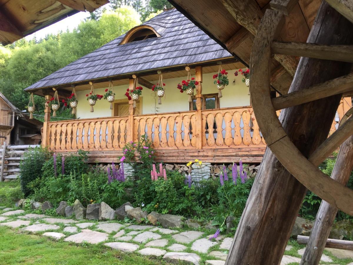 Pensiunea Agroturistica Casa Colinita Vatra Moldovitei Bagian luar foto