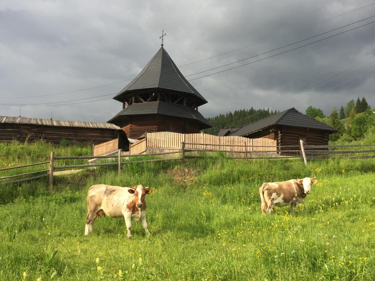 Pensiunea Agroturistica Casa Colinita Vatra Moldovitei Bagian luar foto