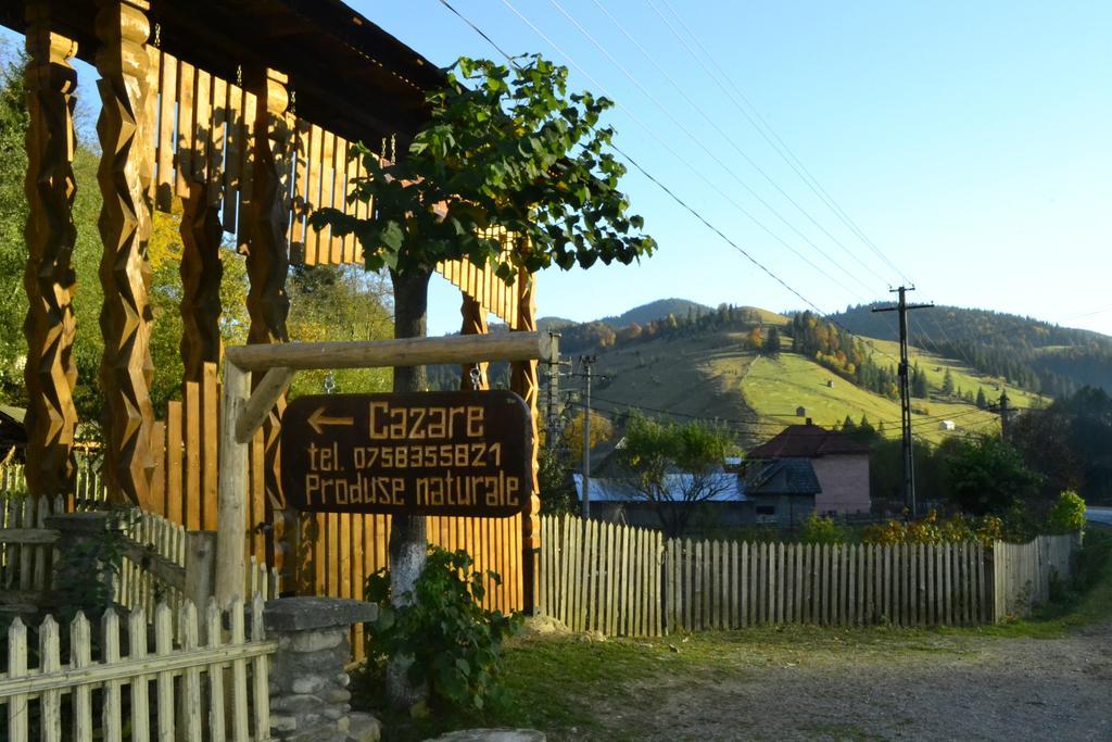 Pensiunea Agroturistica Casa Colinita Vatra Moldovitei Bagian luar foto