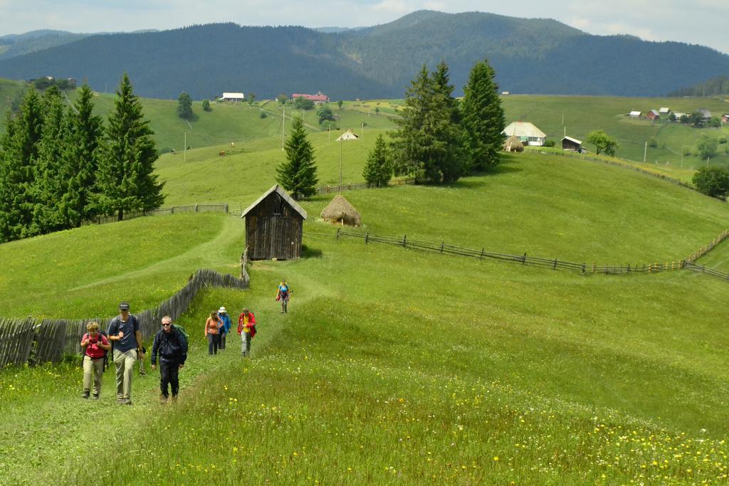 Pensiunea Agroturistica Casa Colinita Vatra Moldovitei Bagian luar foto