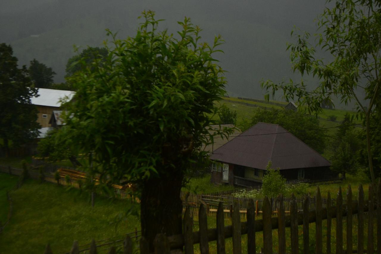 Pensiunea Agroturistica Casa Colinita Vatra Moldovitei Bagian luar foto