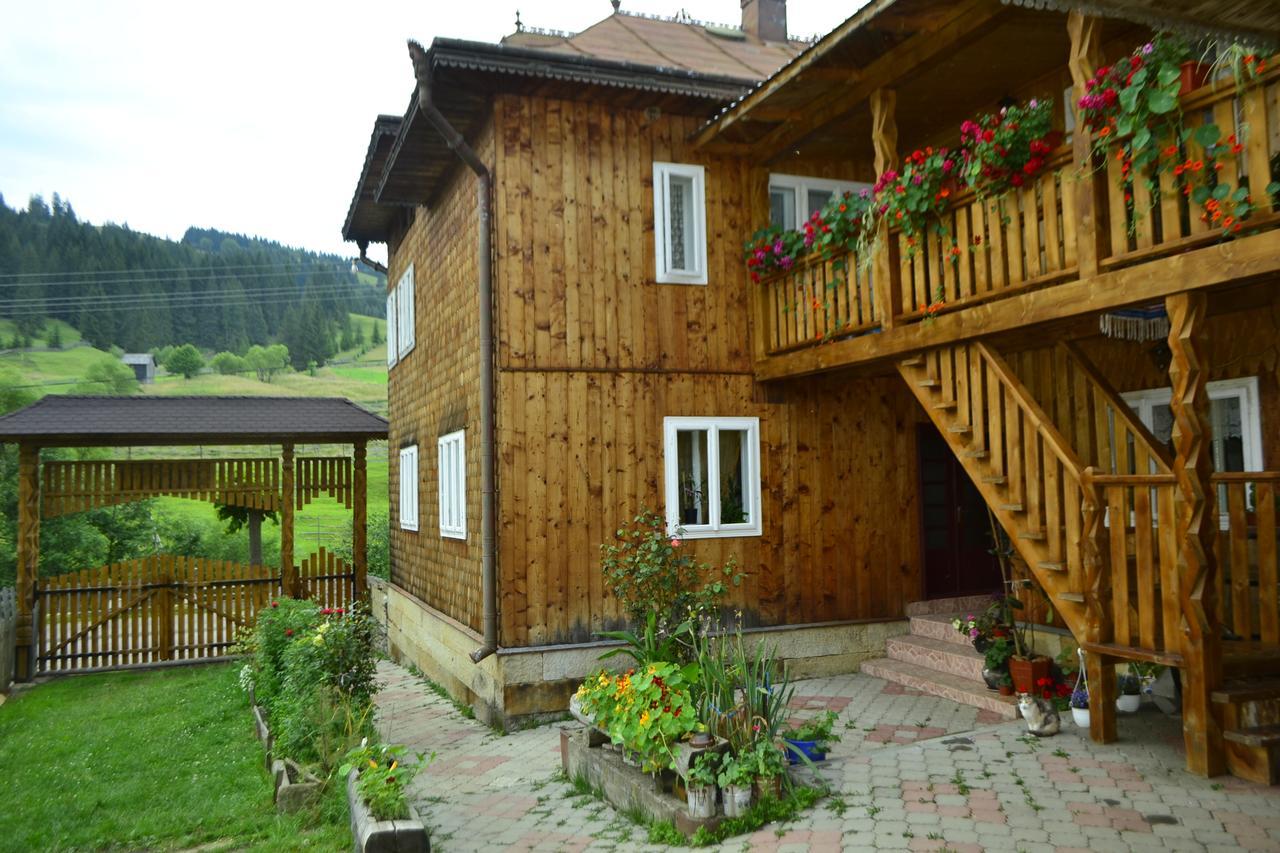 Pensiunea Agroturistica Casa Colinita Vatra Moldovitei Bagian luar foto